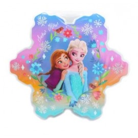 SET DE ARTE FROZEN 24PCS FA109