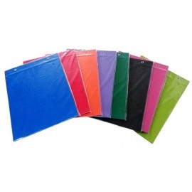 CARPETA REXON N°5 PVC COLOR 20107