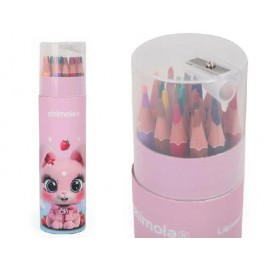 SET DE LAPICES DE COLORES X 24 BUNNYST61